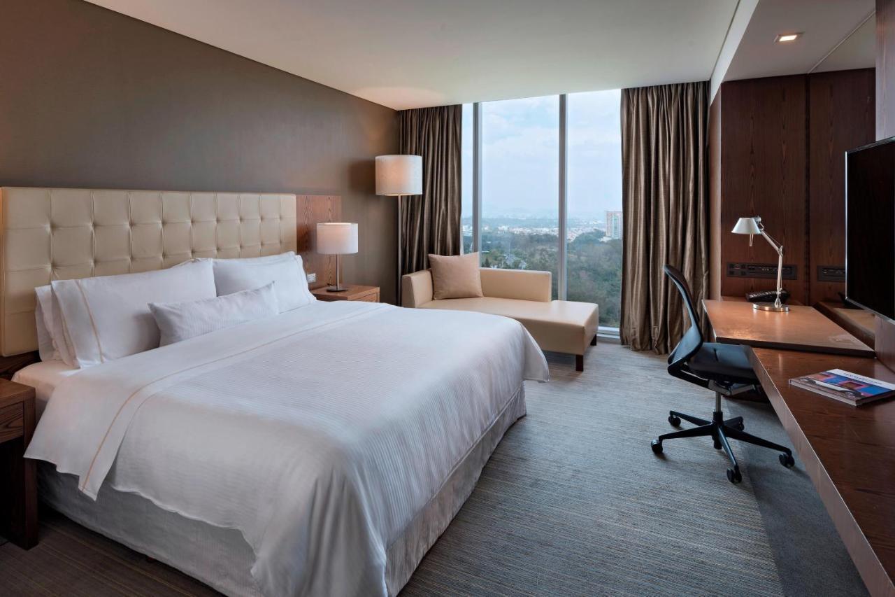 Deluxe King Room Mobility Accessible Shower