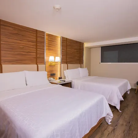Holiday Inn Mexico Zona Centro By Ihg-2